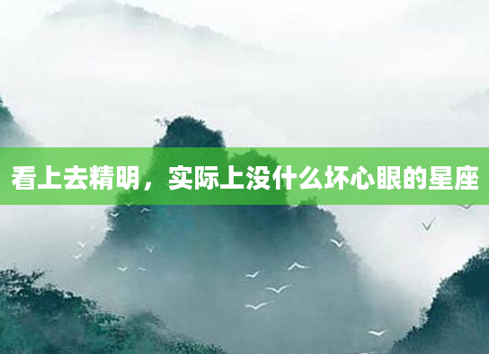 看上去精明，实际上没什么坏心眼的星座