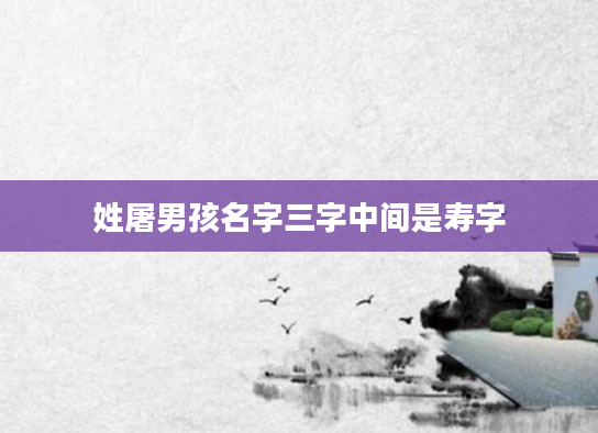 姓屠男孩名字三字中间是寿字