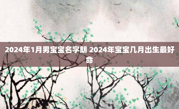 2024年1月男宝宝名字朗 2024年宝宝几月出生最好命