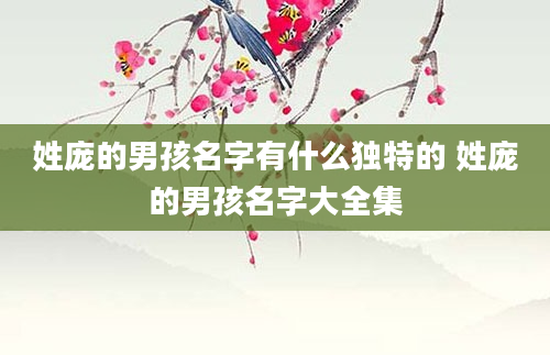 姓庞的男孩名字有什么独特的 姓庞的男孩名字大全集
