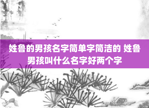 姓鲁的男孩名字简单字简洁的 姓鲁男孩叫什么名字好两个字