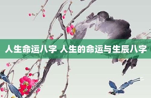 人生命运八字 人生的命运与生辰八字