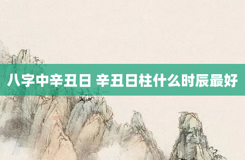 八字中辛丑日 辛丑日柱什么时辰最好