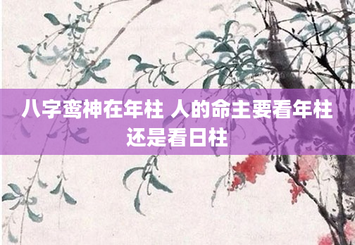 八字鸾神在年柱 人的命主要看年柱还是看日柱