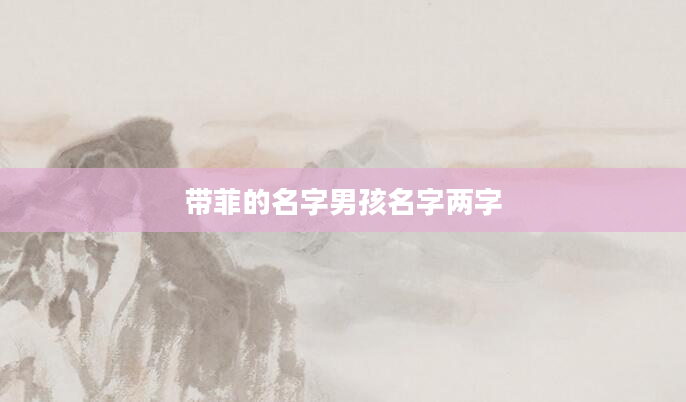 带菲的名字男孩名字两字