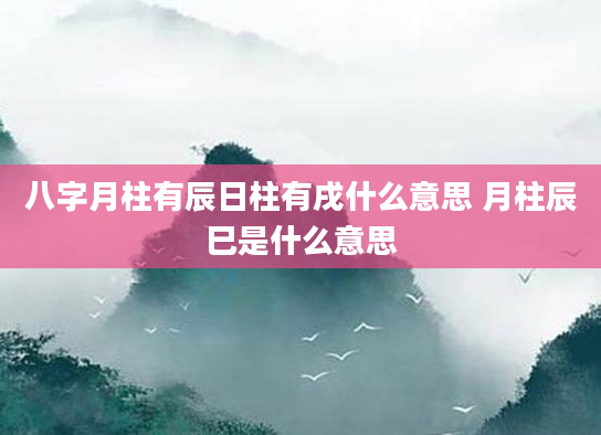 八字月柱有辰日柱有戌什么意思 月柱辰巳是什么意思