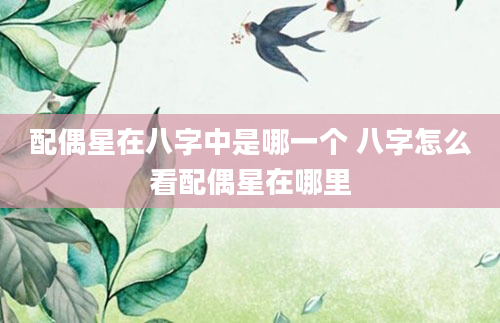 配偶星在八字中是哪一个 八字怎么看配偶星在哪里