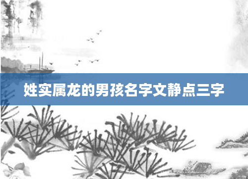姓实属龙的男孩名字文静点三字
