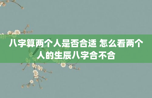 八字算两个人是否合适 怎么看两个人的生辰八字合不合