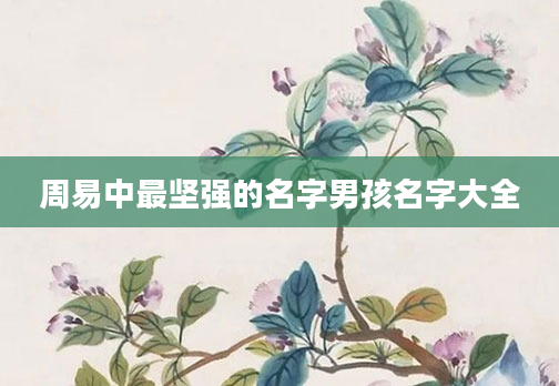 周易中最坚强的名字男孩名字大全