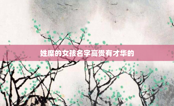 姓糜的女孩名字高贵有才华的