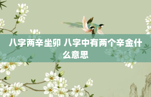 八字两辛坐卯 八字中有两个辛金什么意思