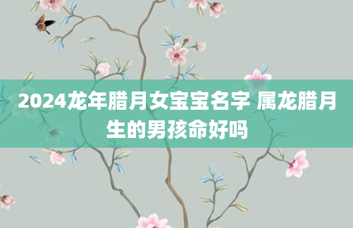 2024龙年腊月女宝宝名字 属龙腊月生的男孩命好吗