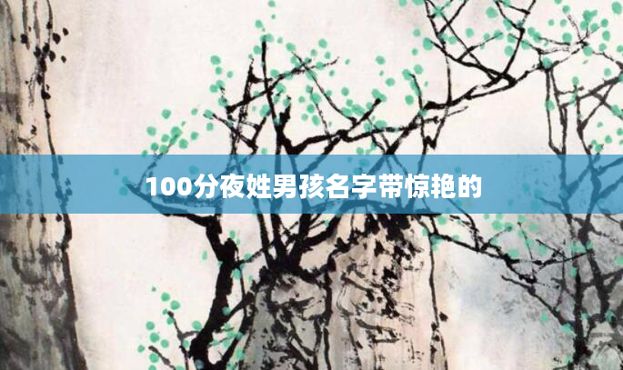 100分夜姓男孩名字带惊艳的
