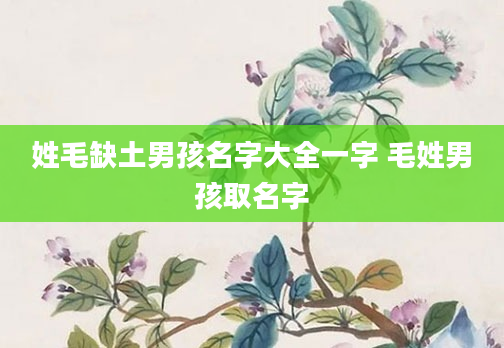 姓毛缺土男孩名字大全一字 毛姓男孩取名字