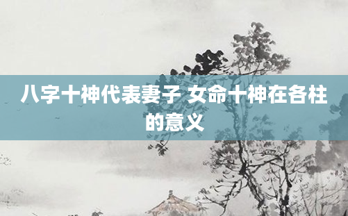 八字十神代表妻子 女命十神在各柱的意义
