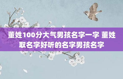 董姓100分大气男孩名字一字 董姓取名字好听的名字男孩名字
