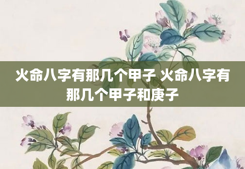 火命八字有那几个甲子 火命八字有那几个甲子和庚子