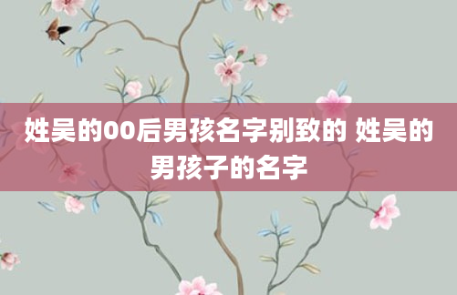 姓吴的00后男孩名字别致的 姓吴的男孩子的名字