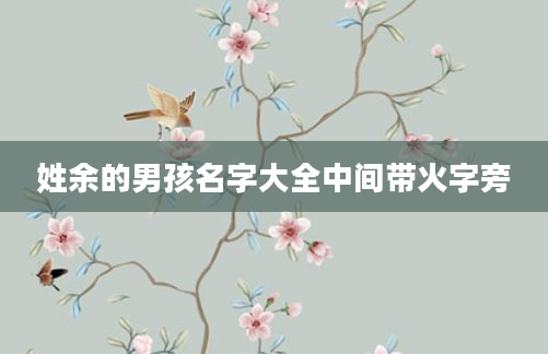 姓余的男孩名字大全中间带火字旁