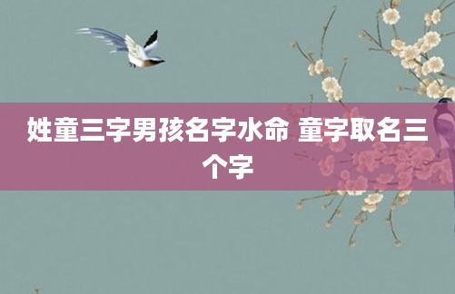 姓童三字男孩名字水命 童字取名三个字