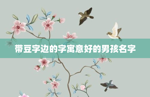 带豆字边的字寓意好的男孩名字