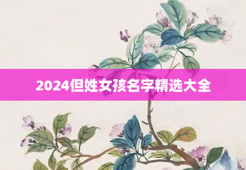 2024但姓女孩名字精选大全