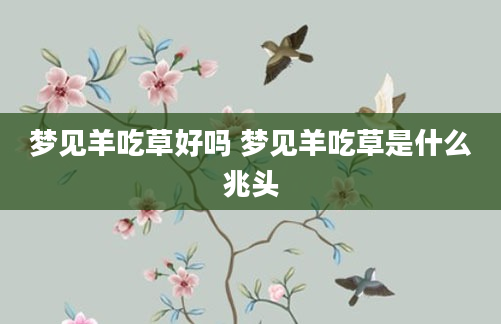 梦见羊吃草好吗 梦见羊吃草是什么兆头
