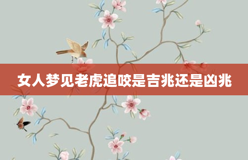 女人梦见老虎追咬是吉兆还是凶兆