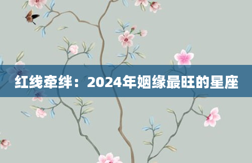 红线牵绊：2024年姻缘最旺的星座