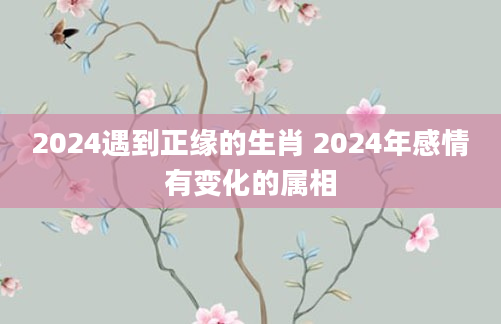 2024遇到正缘的生肖 2024年感情有变化的属相