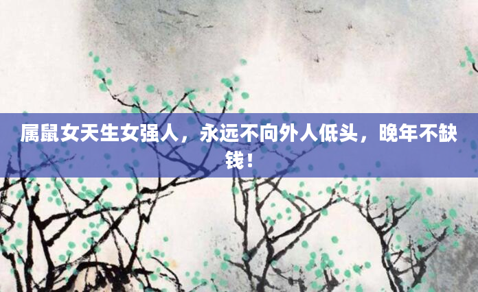 属鼠女天生女强人，永远不向外人低头，晚年不缺钱！