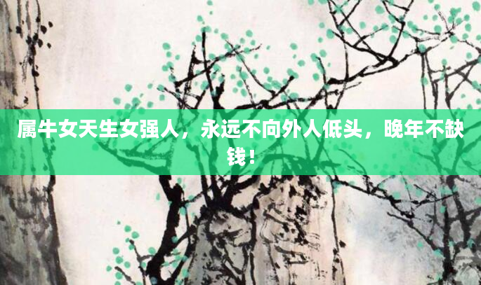 属牛女天生女强人，永远不向外人低头，晚年不缺钱！