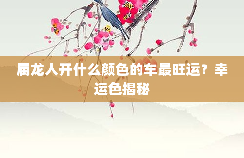 属龙人开什么颜色的车最旺运？幸运色揭秘