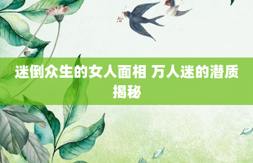 迷倒众生的女人面相 万人迷的潜质揭秘