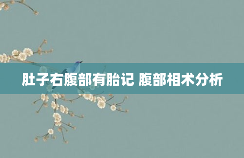 肚子右腹部有胎记 腹部相术分析