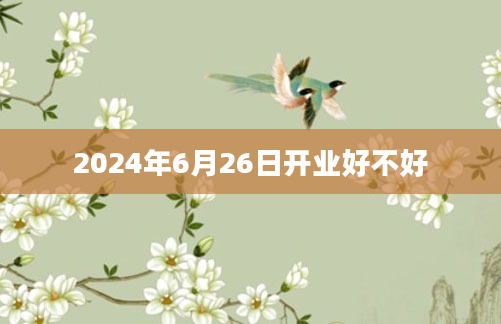 2024年6月26日开业好不好