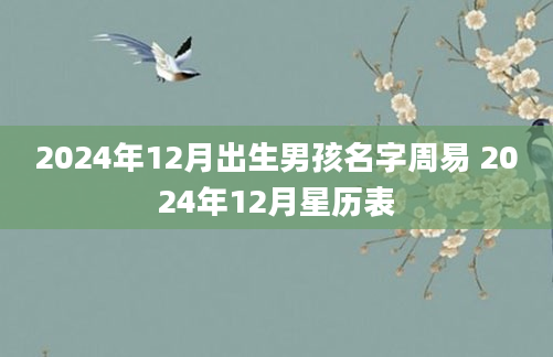 2024年12月出生男孩名字周易 2024年12月星历表