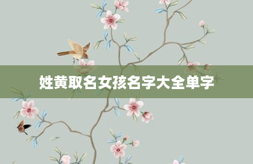 姓黄取名女孩名字大全单字