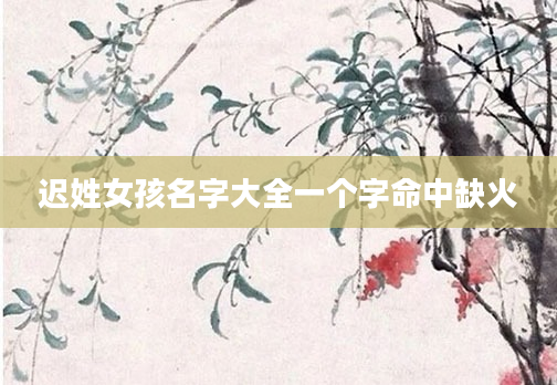 迟姓女孩名字大全一个字命中缺火