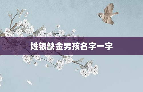 姓银缺金男孩名字一字