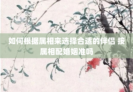 如何根据属相来选择合适的伴侣 按属相配婚姻准吗