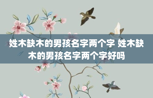 姓木缺木的男孩名字两个字 姓木缺木的男孩名字两个字好吗