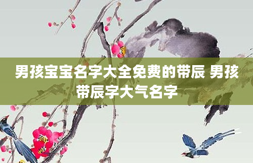 男孩宝宝名字大全免费的带辰 男孩带辰字大气名字