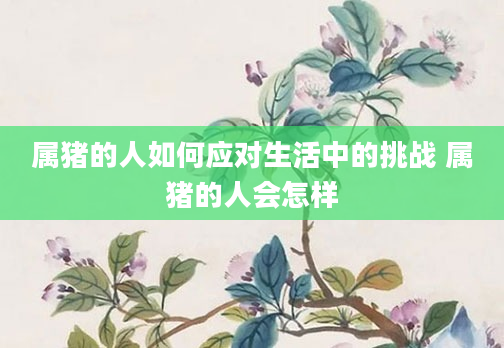 属猪的人如何应对生活中的挑战 属猪的人会怎样