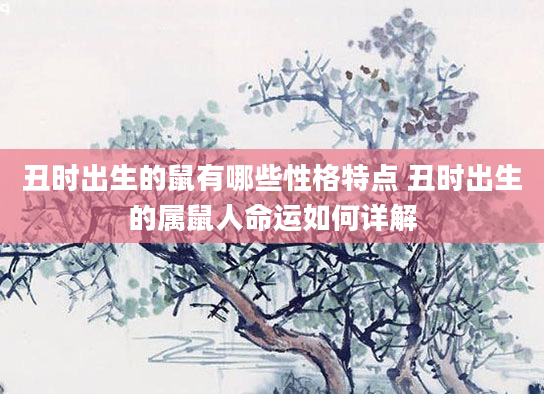丑时出生的鼠有哪些性格特点 丑时出生的属鼠人命运如何详解