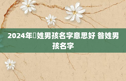 2024年冮姓男孩名字意思好 昝姓男孩名字