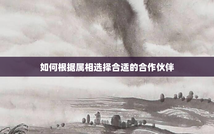 如何根据属相选择合适的合作伙伴