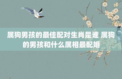 属狗男孩的最佳配对生肖是谁 属狗的男孩和什么属相最配婚