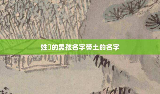 姓冮的男孩名字带土的名字